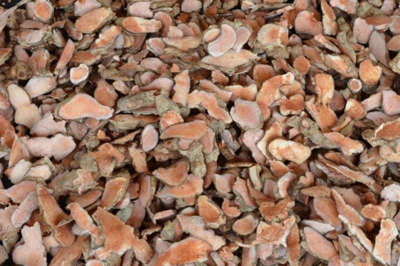 김진국님의 장터 판매 상품 [자연산 토복령 1kg 청미래덩굴 망개나무 맹감나무뿌리 토봉령 국내산] 첨부 사진