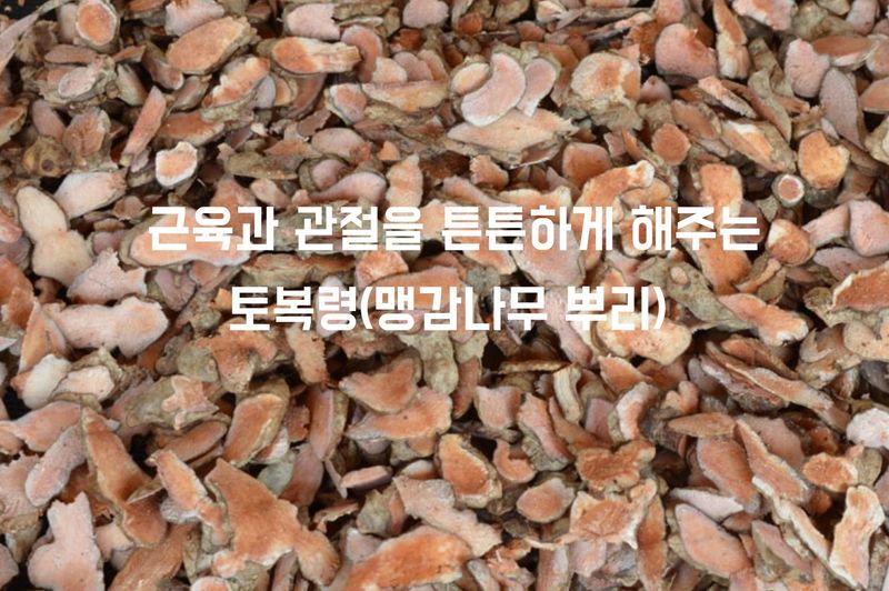 장터 상품 [자연산 토복령 1kg 청미래덩굴 망개나무 맹감나무뿌리 토봉령 국내산] 썸네일