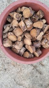 팜모닝 자유주제·자유게시판 게시글 이미지