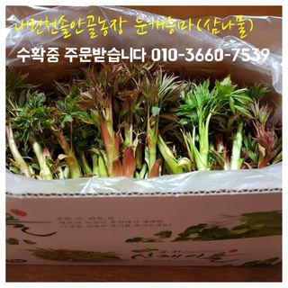 솔안골농장(이영선)님의 함께 일하는 동료는 몇명인가요? · 참여글 작성글 사진