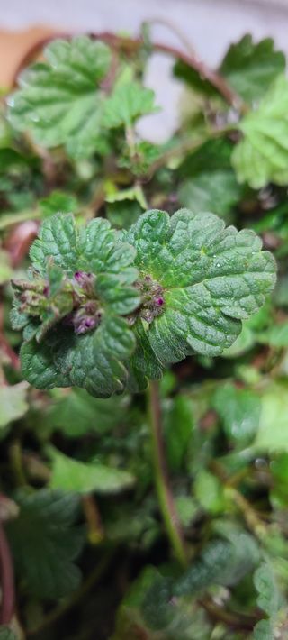 풀잎사랑님의 자유주제 · 자유게시판 작성글 사진