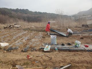 박정애님의 함께 일하는 동료는 몇명인가요? · 참여글 작성글 사진