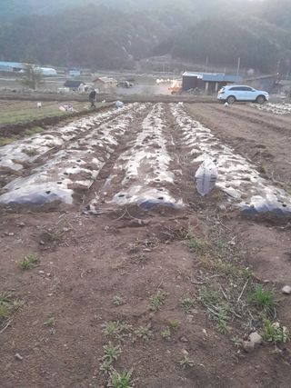 박정애님의 함께 일하는 동료는 몇명인가요? · 참여글 작성글 사진