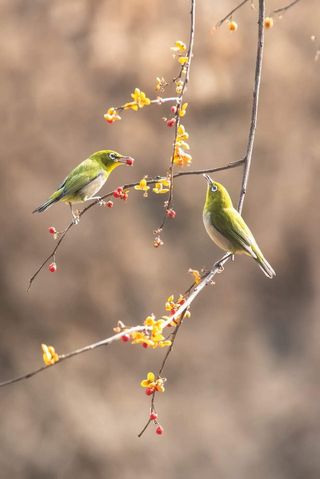 박정애님의 함께 일하는 동료는 몇명인가요? · 참여글 작성글 사진