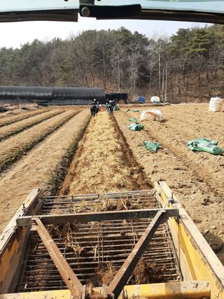 모두팜님의 작성글 사진