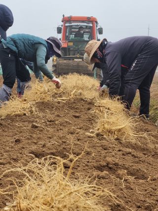 모두팜님의 작성글 사진