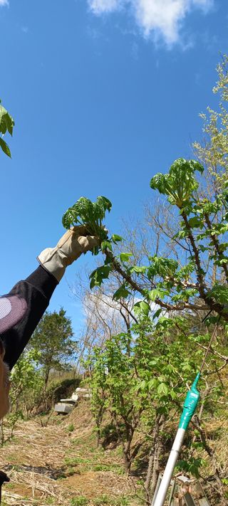 호박12525님의 선도농가에 선정된 소감은? · 참여글 작성글 사진