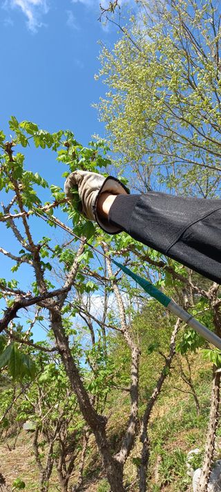 호박12525님의 선도농가에 선정된 소감은? · 참여글 작성글 사진