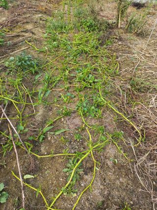 호박12525님의 선도농가에 선정된 소감은? · 참여글 작성글 사진