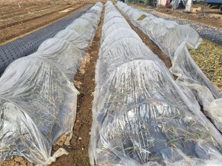 들꽃농장님의 자유주제 · 자유게시판 작성글 사진