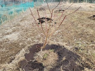 들꽃농장님의 자유주제 · 자유게시판 작성글 사진