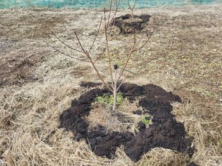들꽃농장님의 자유주제 · 자유게시판 작성글 사진