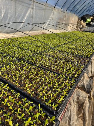 김영철님의 함께 일하는 동료는 몇명인가요? · 참여글 작성글 사진