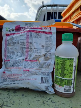 마늘6843님의 마늘 · 비료•농약 작성글 사진