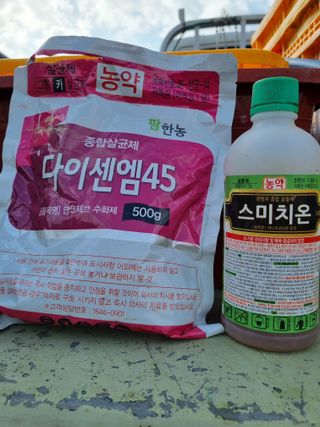 마늘6843님의 마늘 · 비료•농약 작성글 사진