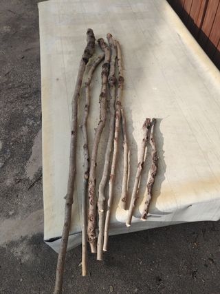 이현상님의 자유주제 · 자유게시판 작성글 사진