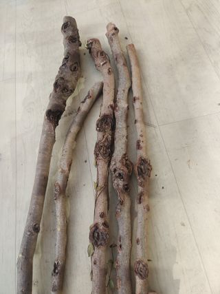 이현상님의 자유주제 · 자유게시판 작성글 사진