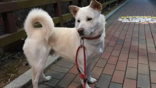 김병화님의 함께 일하는 동료는 몇명인가요? · 참여글 작성글 사진