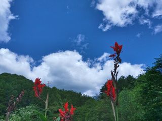 김병화님의 함께 일하는 동료는 몇명인가요? · 참여글 작성글 사진