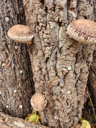파란농원님의 작성글 사진