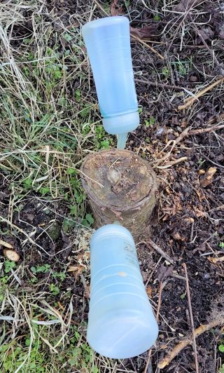 김중언님의 자유주제 · 자유게시판 작성글 사진