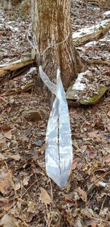 팜모닝 자유주제·자유게시판 게시글 이미지