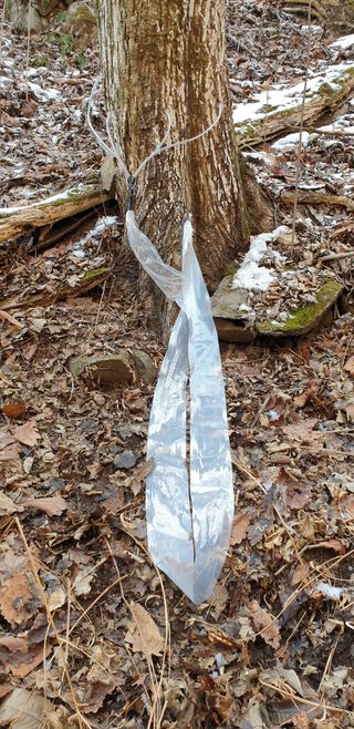 알 수 없음님의 자유주제 · 자유게시판 작성글 사진