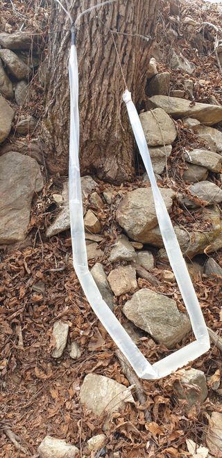 알 수 없음님의 자유주제 · 자유게시판 작성글 사진