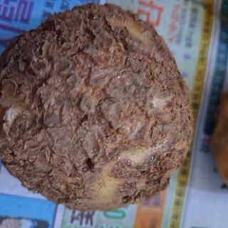 참보배님의 농사, 무엇이든 물어보세요! · 참여글 작성글 사진