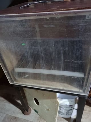 풍요님의 사과 · 일상 작성글 사진