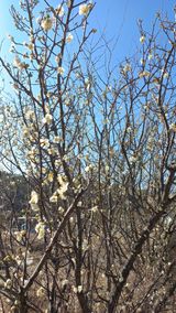 팜모닝 자유주제·사진전 게시글 이미지