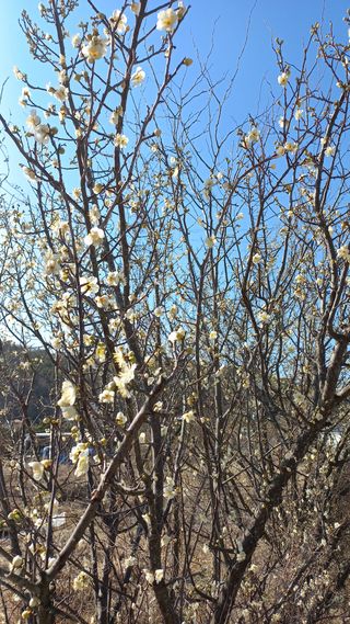 송월명님의 자유주제 · 사진전 작성글 사진