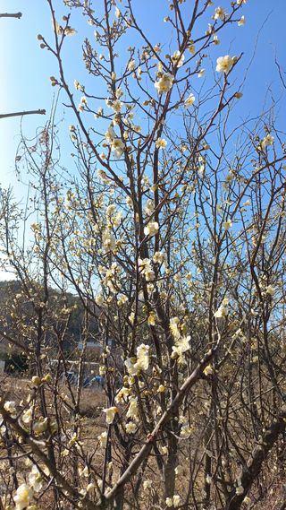 송월명님의 자유주제 · 사진전 작성글 사진