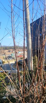 팜모닝 농사, 무엇이든 물어보세요!·참여글 게시글 이미지