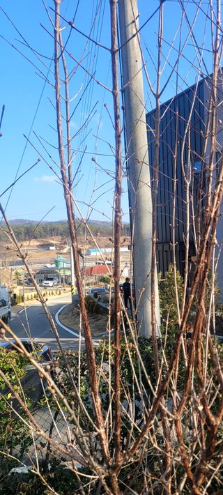 코람데오창조농장님의 농사, 무엇이든 물어보세요! · 참여글 작성글 사진