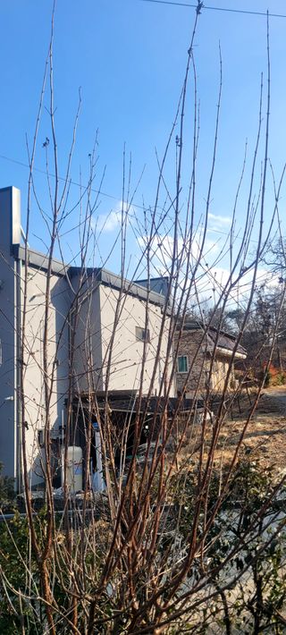 코람데오창조농장님의 농사, 무엇이든 물어보세요! · 참여글 작성글 사진