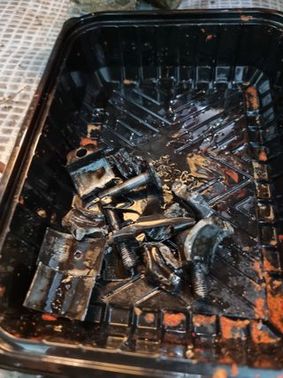 박세은님의 고추 · 일상 작성글 사진