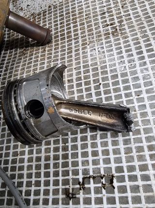 박세은님의 고추 · 일상 작성글 사진