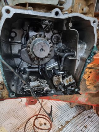 박세은님의 고추 · 일상 작성글 사진