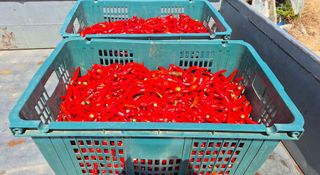 신동원님의 함께 일하는 동료는 몇명인가요? · 참여글 작성글 사진