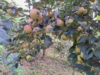 신동원님의 함께 일하는 동료는 몇명인가요? · 참여글 작성글 사진