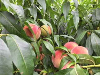 신동원님의 함께 일하는 동료는 몇명인가요? · 참여글 작성글 사진