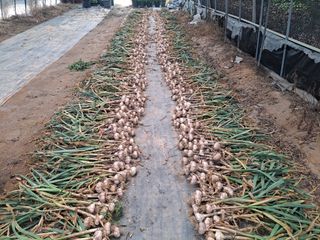 신동원님의 함께 일하는 동료는 몇명인가요? · 참여글 작성글 사진