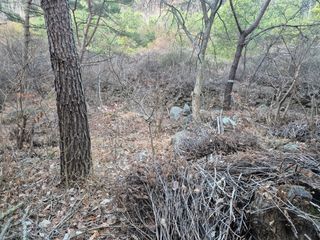 순천채승묵님의 기타작물 · 영농일지 작성글 사진