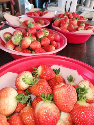 김장수님의 함께 일하는 동료는 몇명인가요? · 참여글 작성글 사진