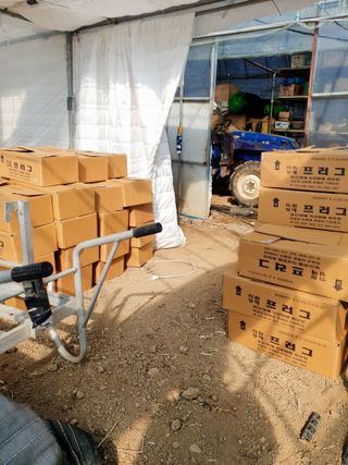 김인선님의 오이 · 자유게시판 작성글 사진