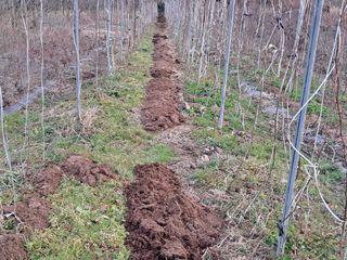 이정운님의 기타작물 · 자유게시판 작성글 사진