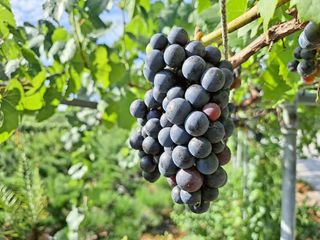 이정운님의 기타작물 · 자유게시판 작성글 사진