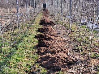 이정운님의 기타작물 · 자유게시판 작성글 사진