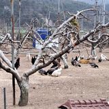 팜모닝 함께 일하는 동료는 몇명인가요?·참여글 게시글 이미지